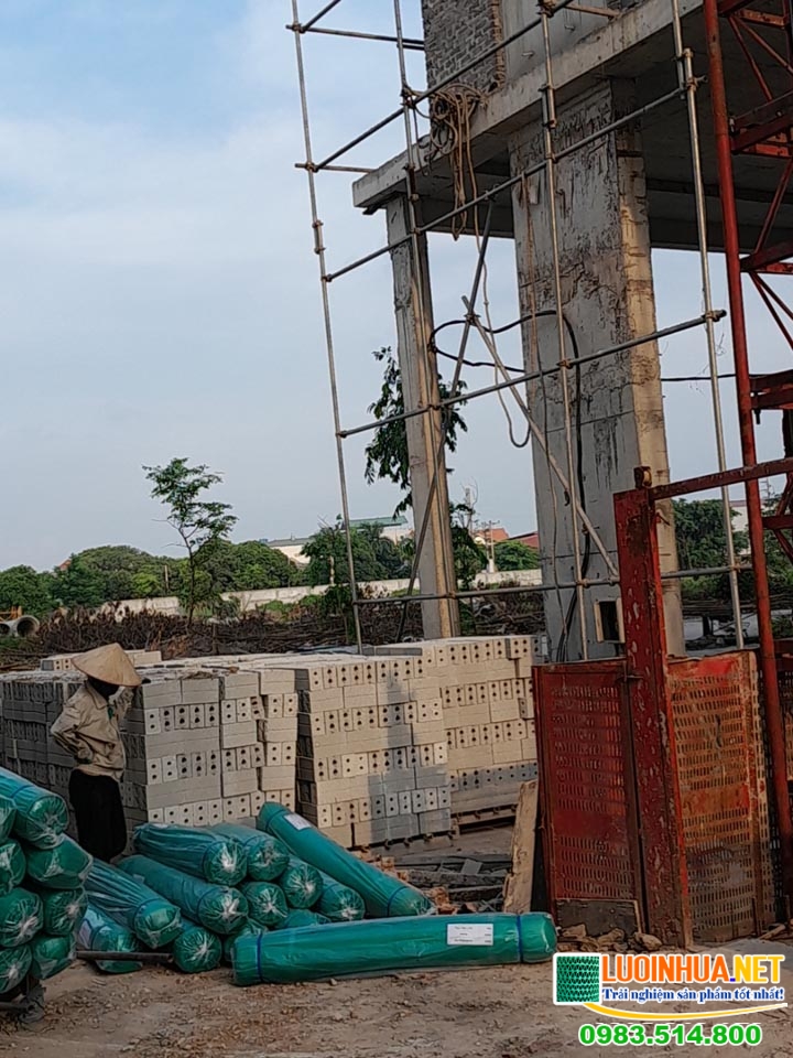 le ha vina giao luoi che nang xanh ngoc cho khach o bac ninh 4