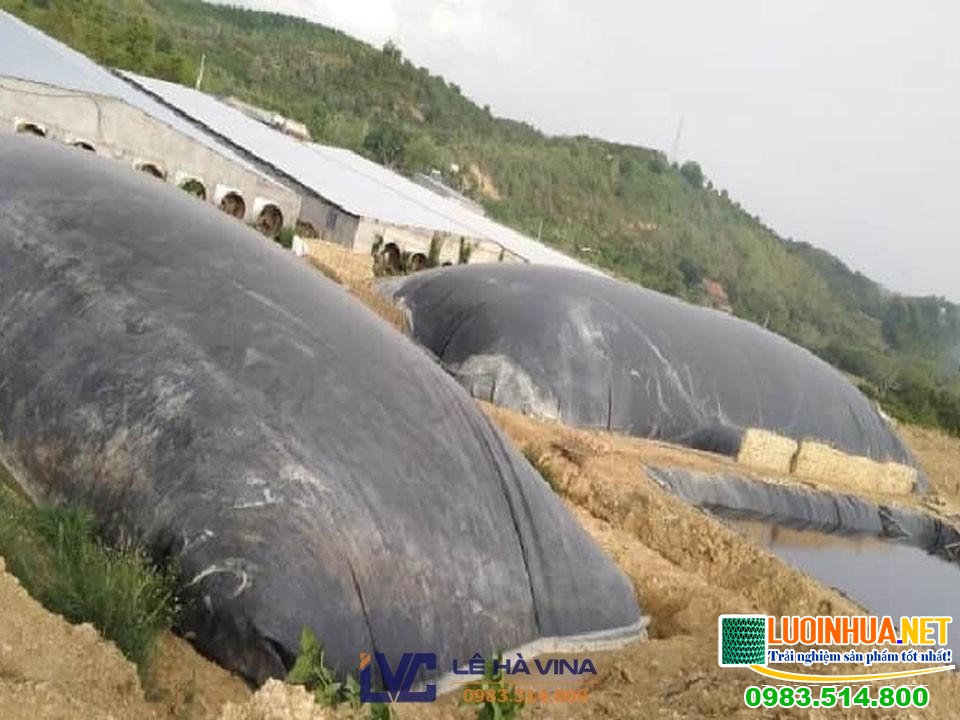le ha vina cung cap bat nhua hdpe lot ham biogas 2